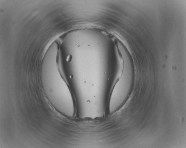 X0000076381481200610271515