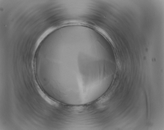 X0000076381482200610271515