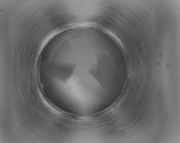 X0000076381483200610271515