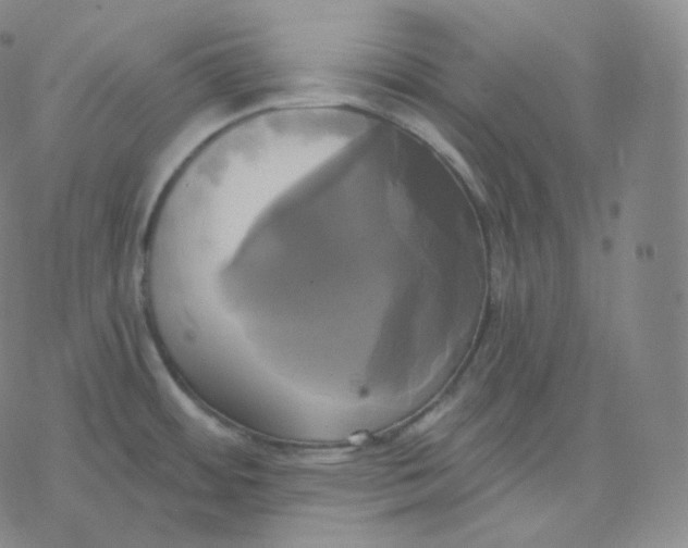 X0000076381484200610271515