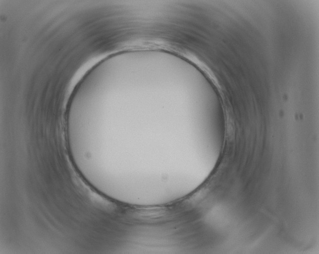 X0000076381486200610271515