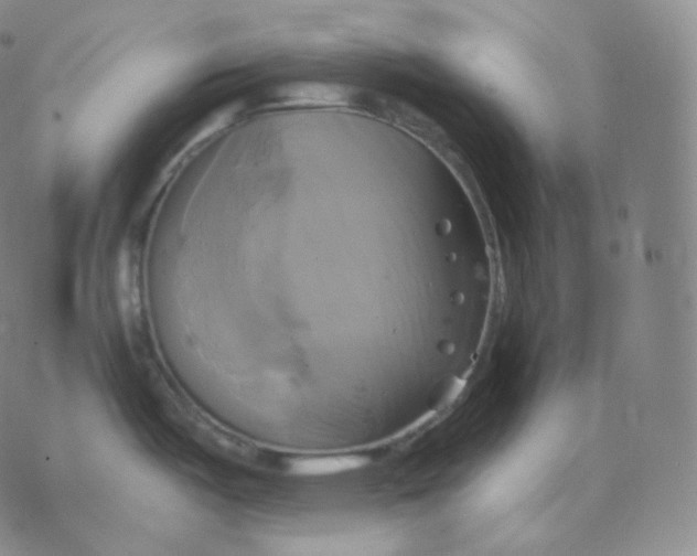 X0000076381487200610271515