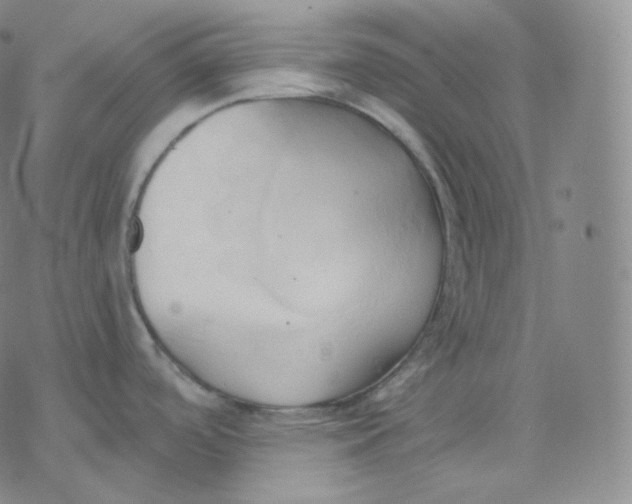 X0000076381488200610271515