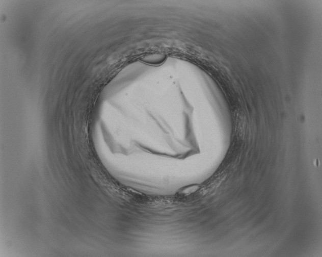 X0000076381489200610271514