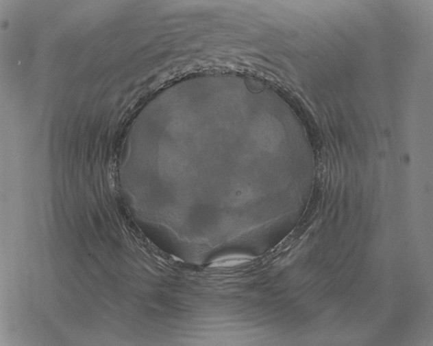 X0000076381490200610271514