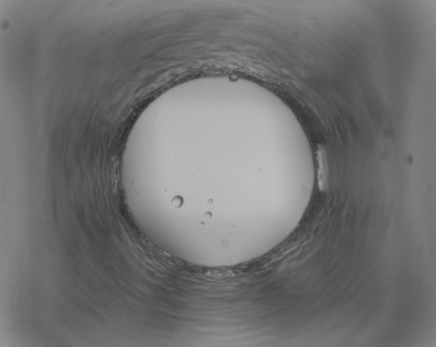 X0000076381491200610271514