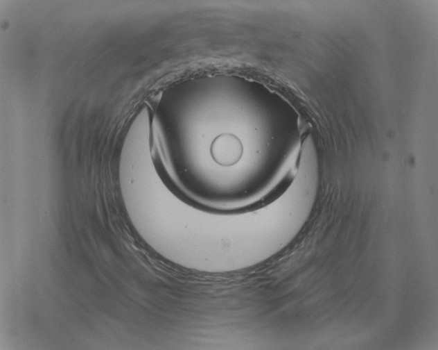 X0000076381492200610271514