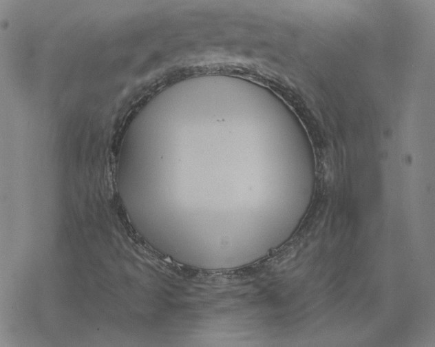 X0000076381493200610271514