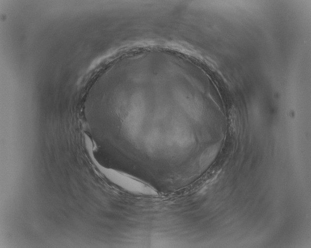 X0000076381494200610271514