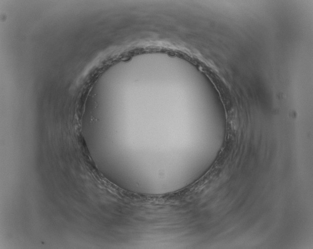 X0000076381495200610271514