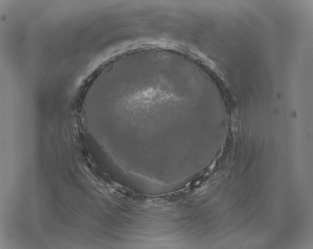 X0000076381496200610271514