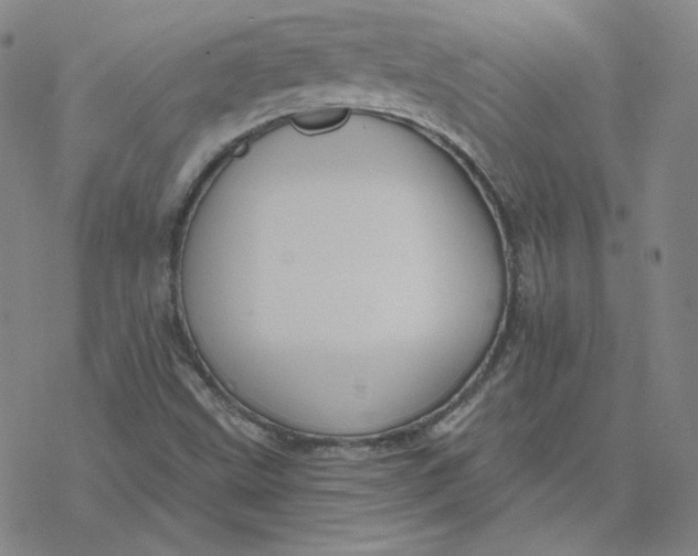 X0000076381499200610271515