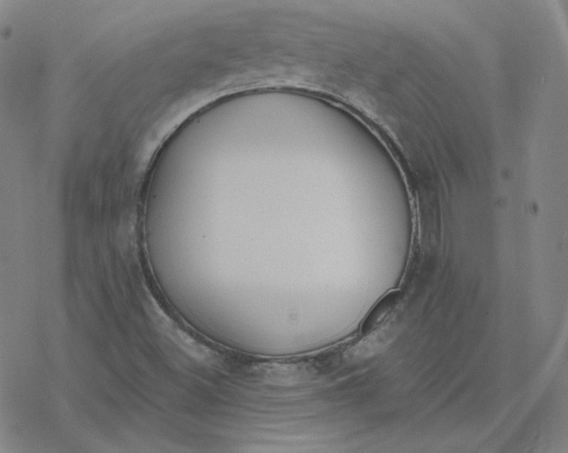 X0000076381500200610271515