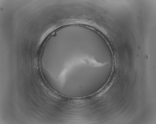 X0000076381501200610271515