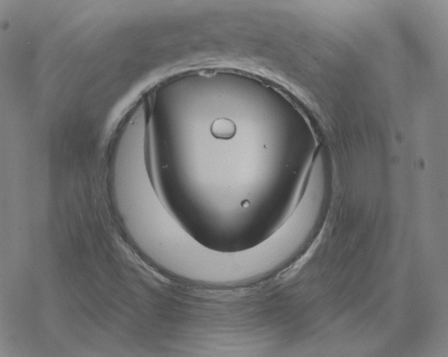 X0000076381502200610271515