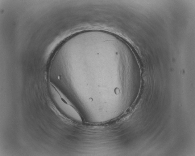 X0000076381503200610271515