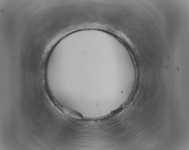 X0000076381504200610271515