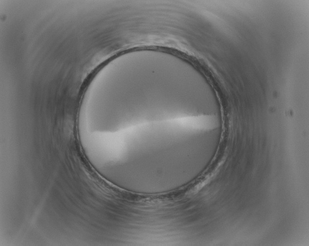 X0000076381505200610271515