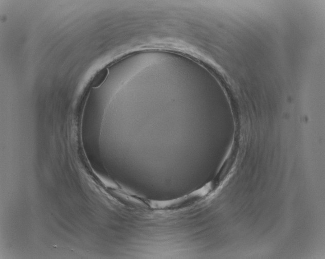 X0000076381506200610271515