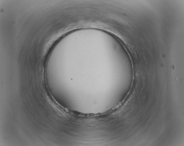 X0000076381507200610271515