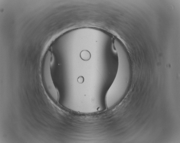 X0000076381508200610271515