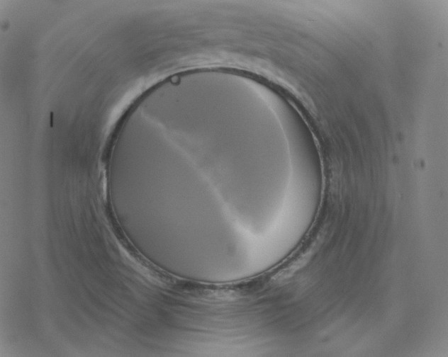 X0000076381509200610271515