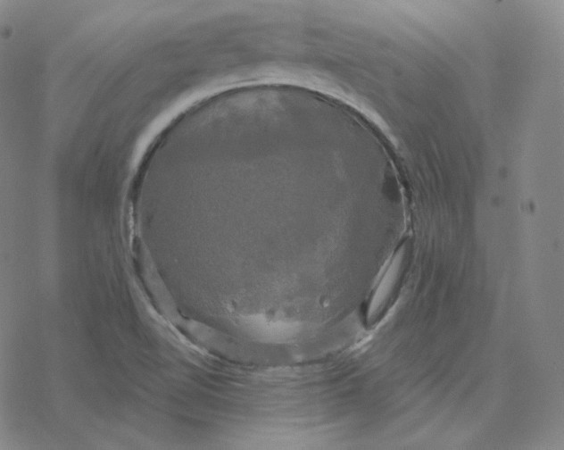 X0000076381510200610271515