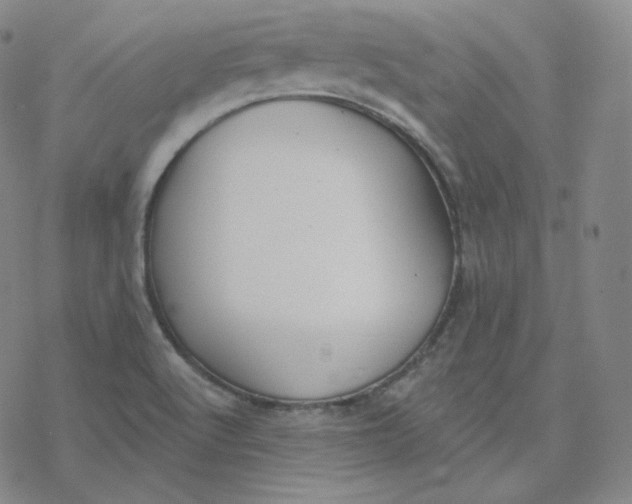 X0000076381512200610271515