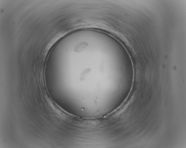 X0000076381513200610271515