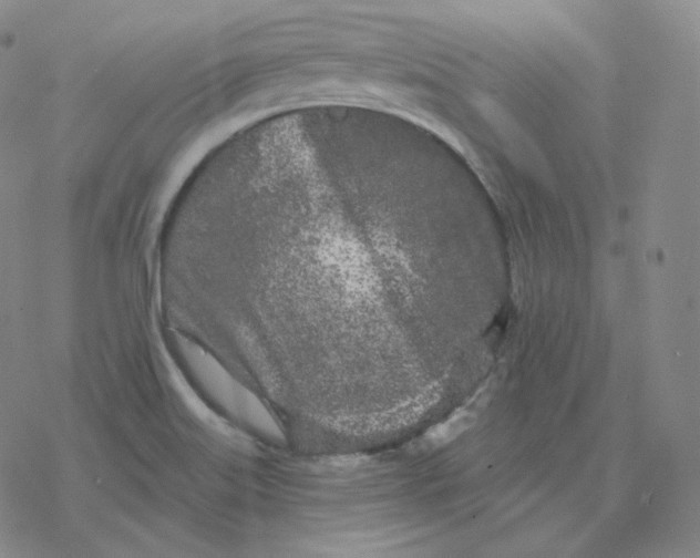 X0000076381515200610271515