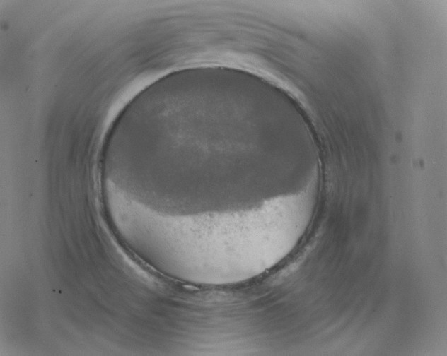 X0000076381517200610271515