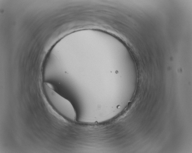 X0000076381518200610271515