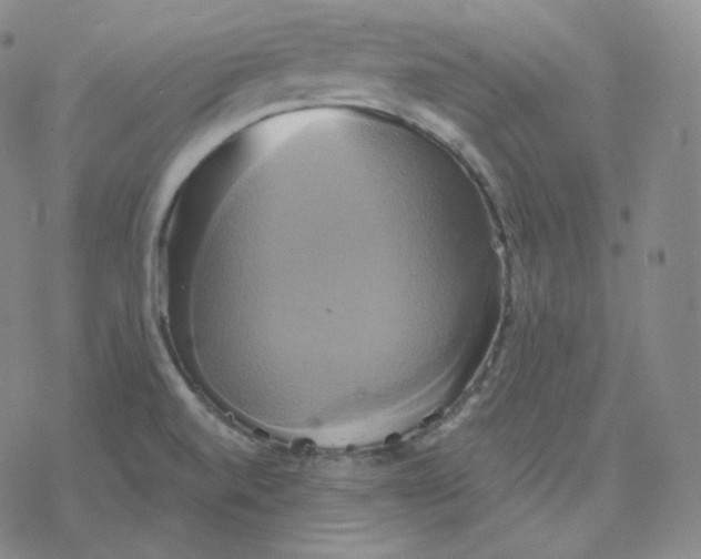 X0000076381520200610271515