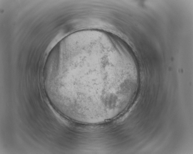 X0000076381521200610271515