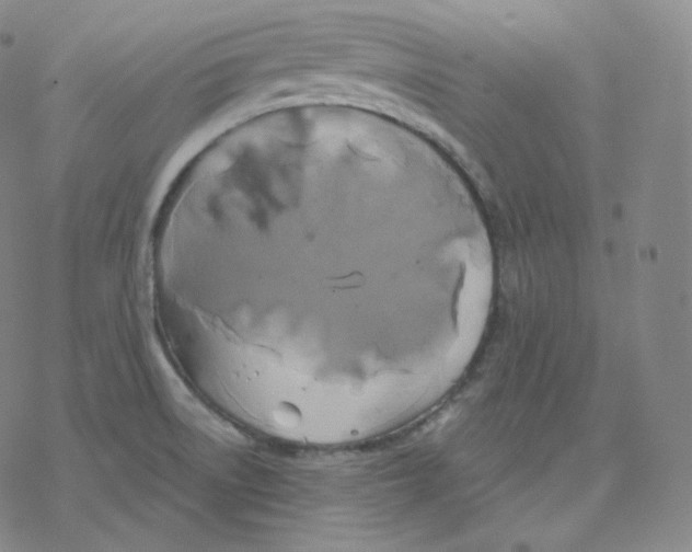 X0000076381522200610271515