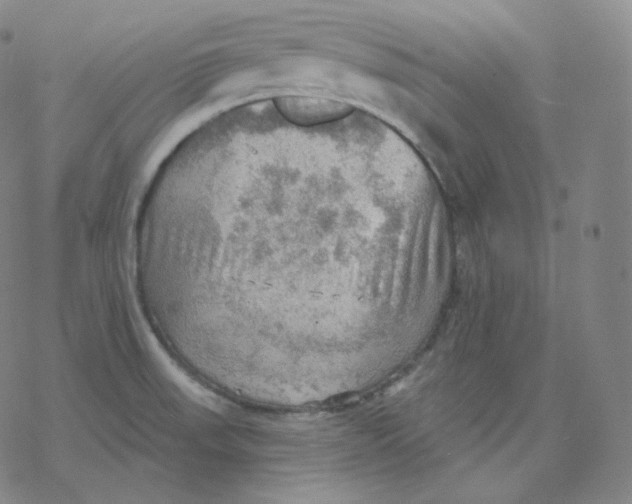 X0000076381523200610271515