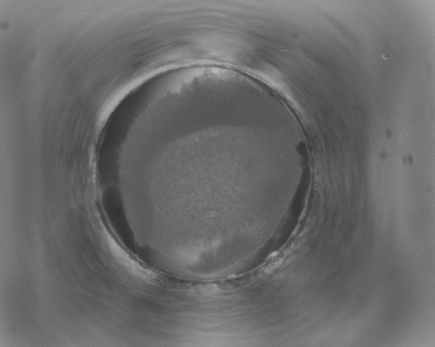 X0000076381524200610271515