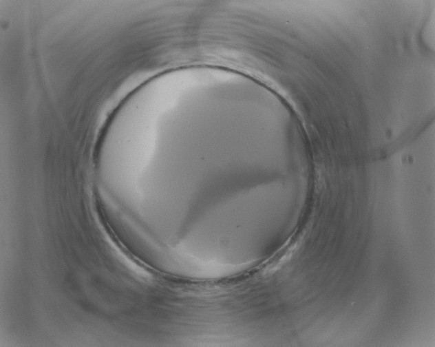 X0000076381525200610271515