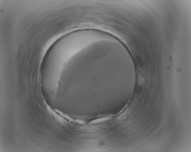 X0000076381527200610271515