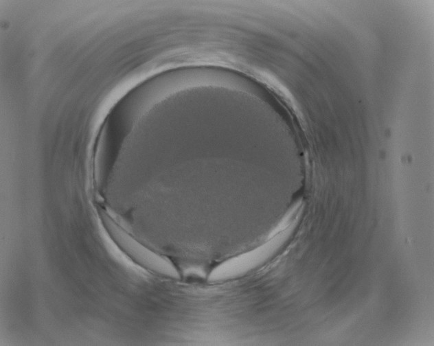 X0000076381528200610271515