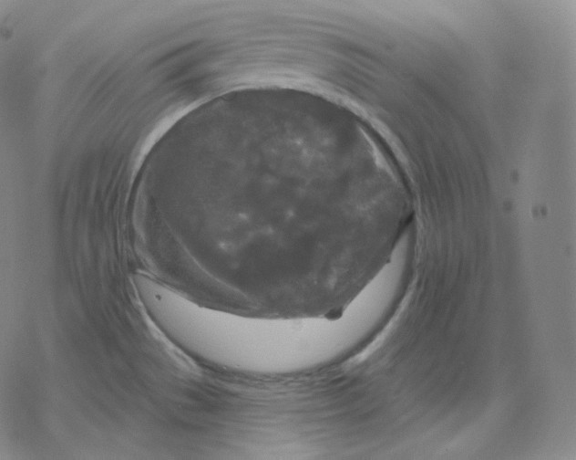 X0000076381529200610271515