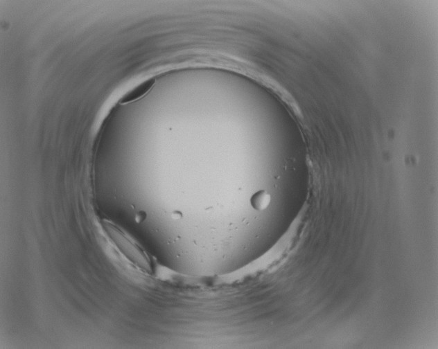 X0000076381530200610271515