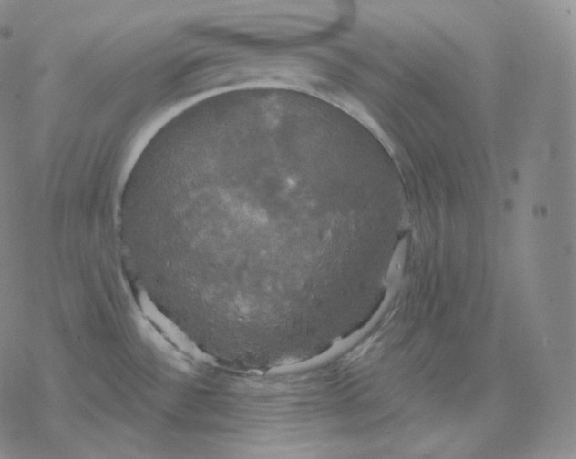 X0000076381532200610271515