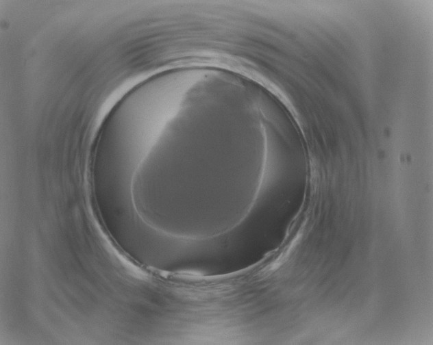 X0000076381533200610271515