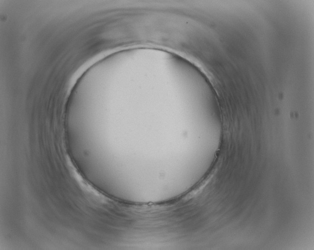 X0000076381534200610271515