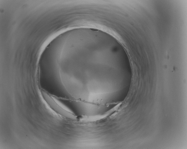 X0000076381536200610271515