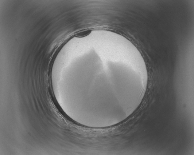 X0000076380002200611031641