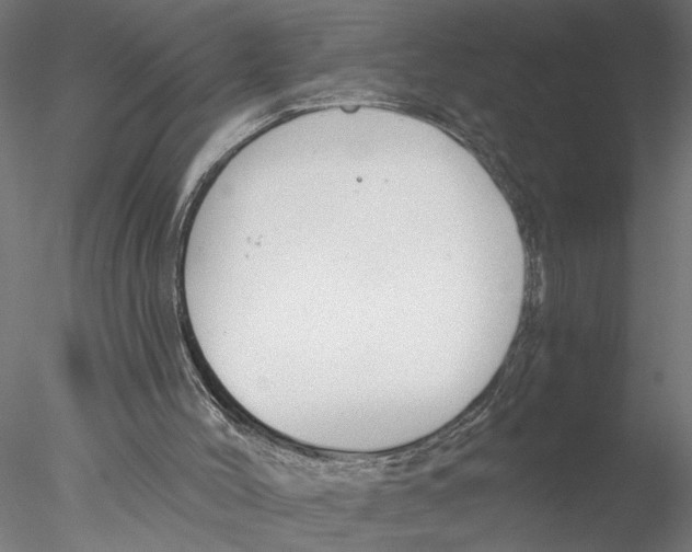 X0000076380004200611031641