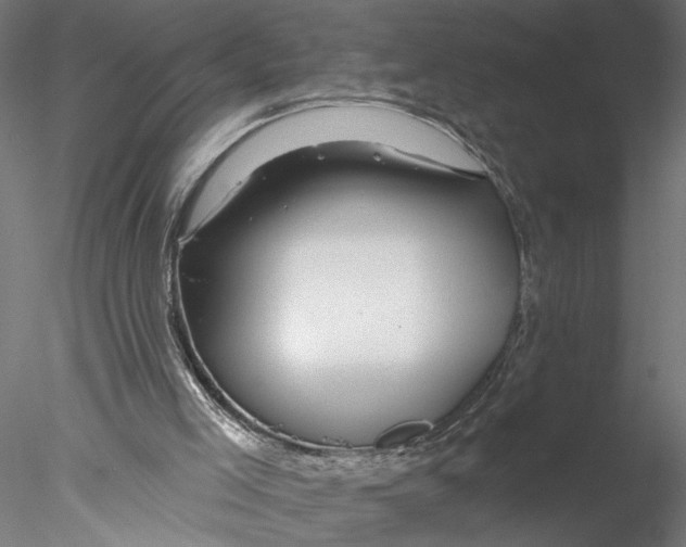 X0000076380005200611031641