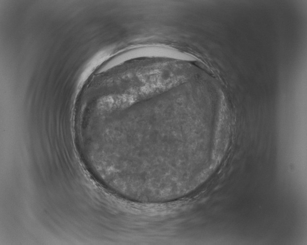 X0000076380006200611031641